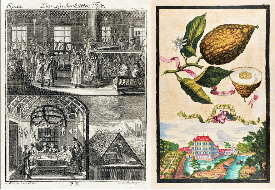 A NYC exhibit explores the etrog’s journey around the Jewish world