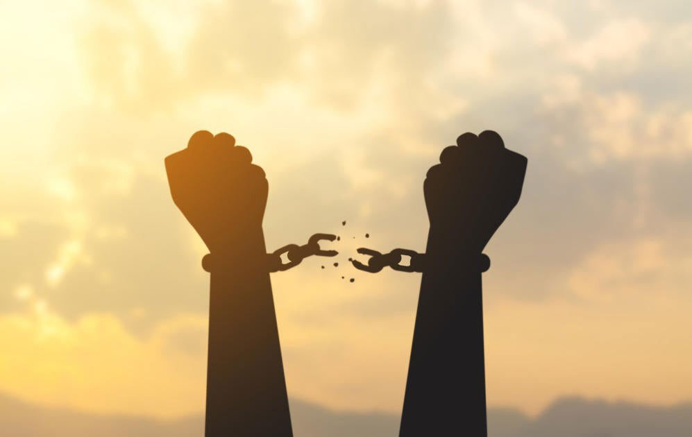 The Hidden Arc of the Passover Seder